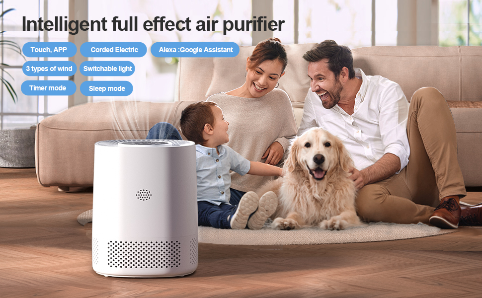 Air Purifier Function