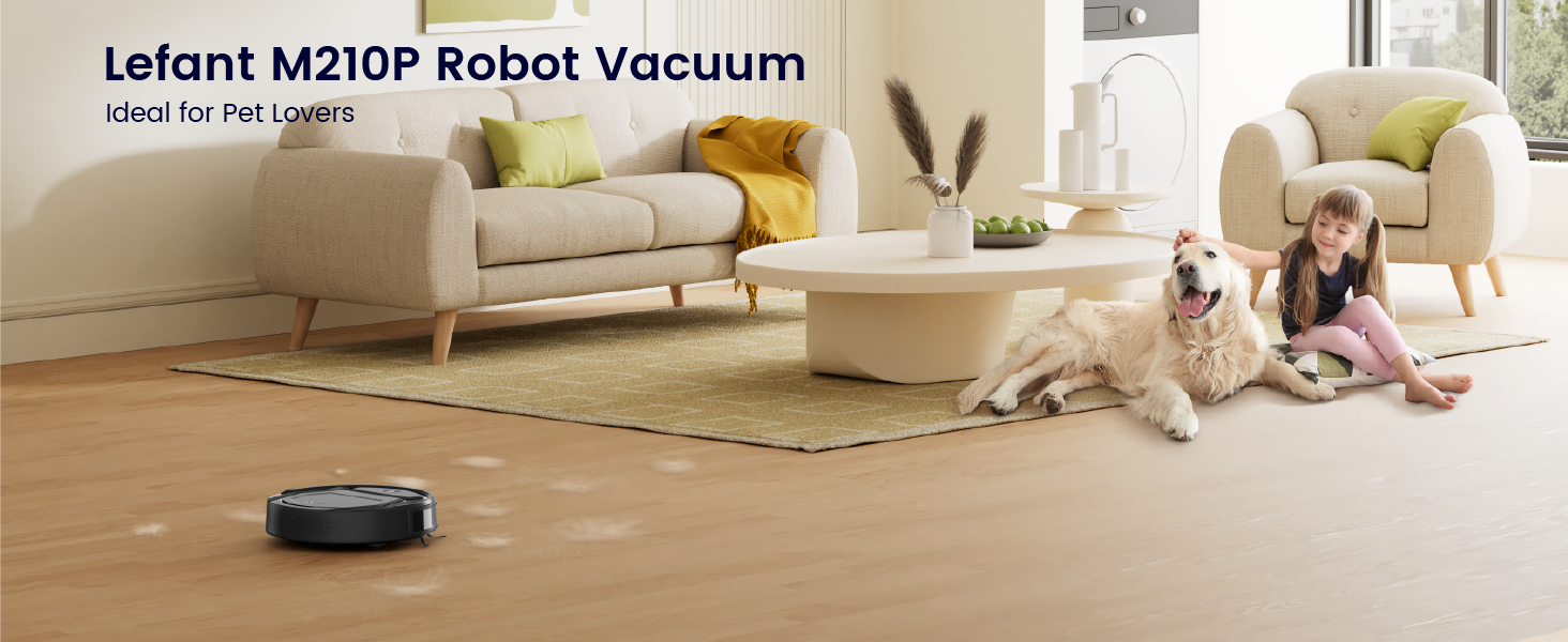 Robot vacuum